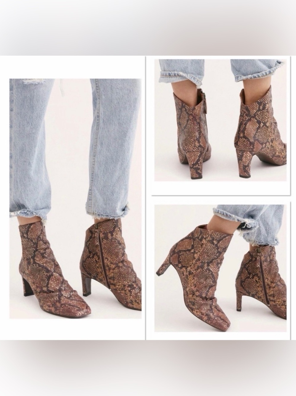 Free People Snake Print Leather Ankle Boots Size 39 US 8.5–9